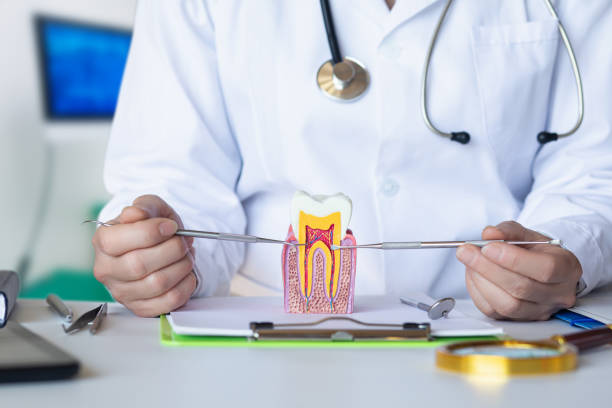 Best Dental Abscess Treatment in Nora Springs, IA